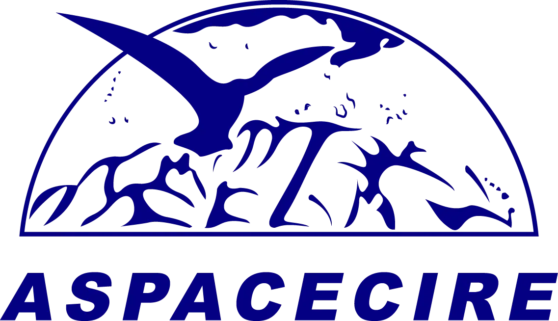logo-aspace-castilla-la-mancha-alternativo